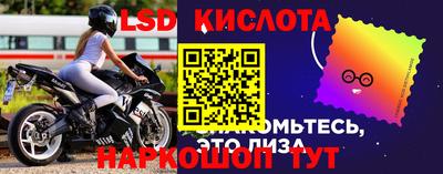 ешки Новодвинск